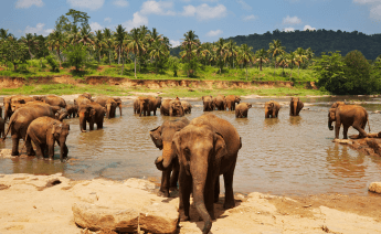 Sri Lanka Turu 2
