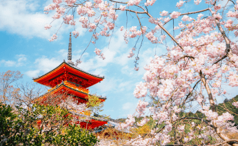 Japonya Güney Kore Turu 10
