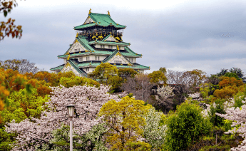 Promo Japonya Turu 2