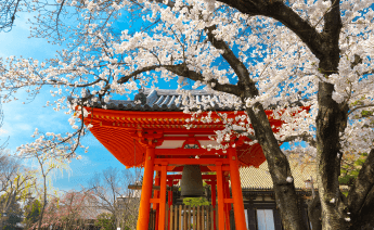 Japonya Güney Kore Turu 11