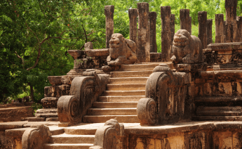 Sri Lanka Turu 3