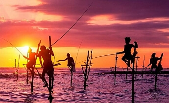 Sri Lanka Turu 