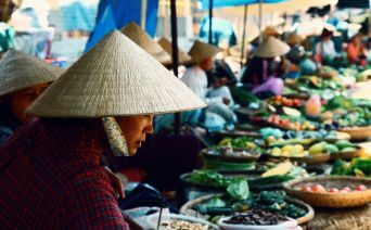 Vietnam Turu