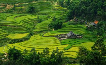 Vietnam Kamboçya Laos Turu 2